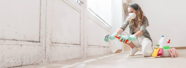 Why You Should Choose Our Mold Remediation Services in Hydesville, CA